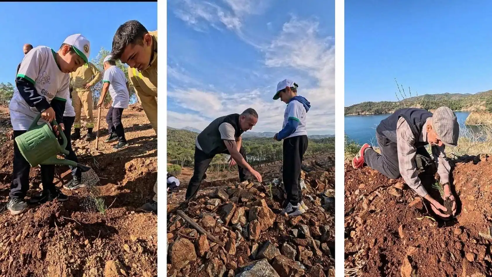 Fethiye Yanıklar'da toplu fidan dikimiyle doğa yeniden canlanıyor