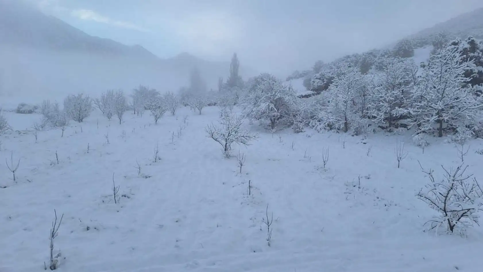 Seydikemer Yayla Zorlar'da kış güzelliği