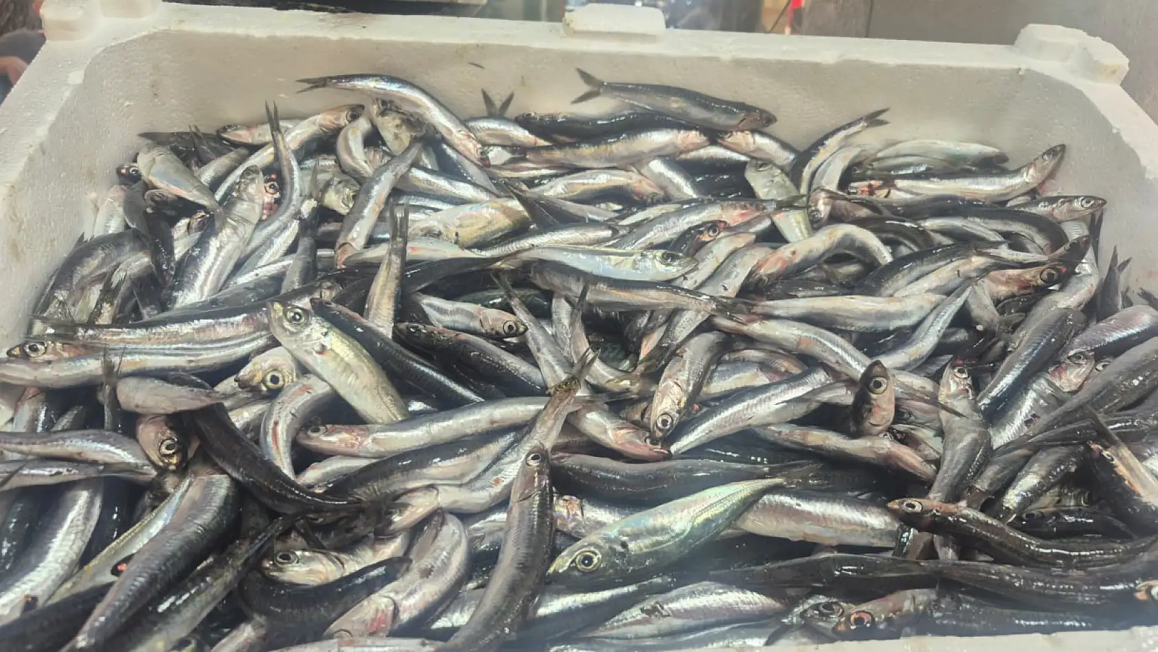 Fethiye Balık Pazarı'nda Hamsi Tezgâhlarda Yerini Aldı