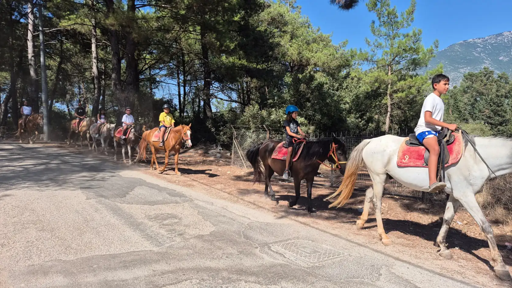 Fethiye'de atlarla doğa turu: 'Atların insan üzerinde çok büyük bir etkisi var'