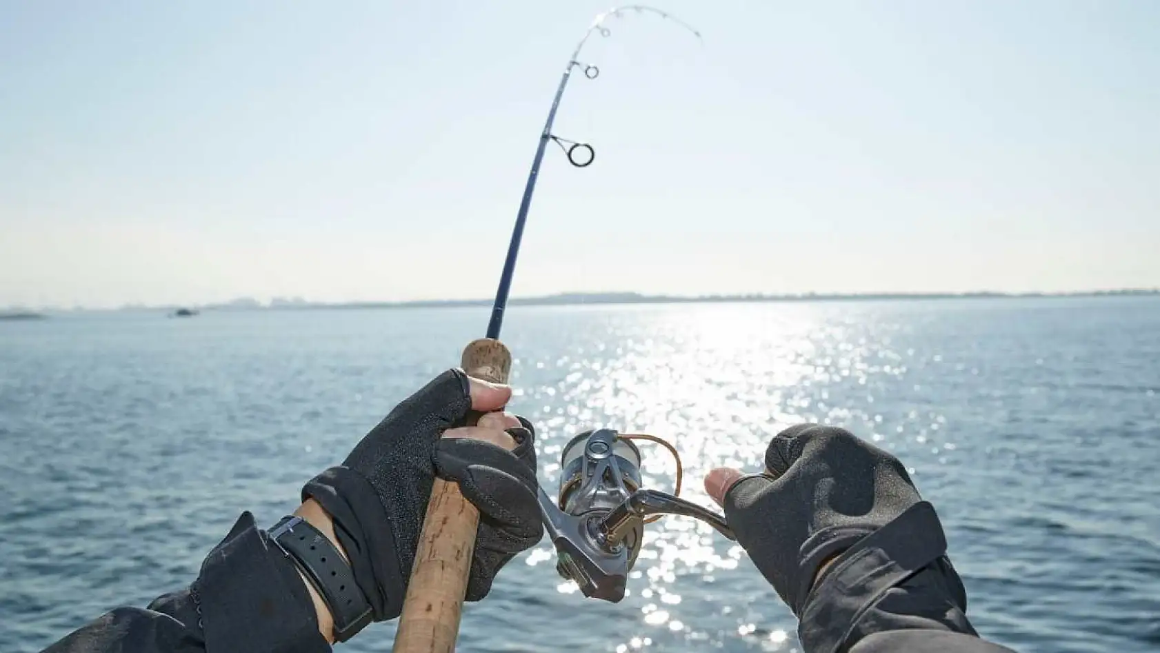 Fethiye'de Yasağa Rağmen Olta Balıkçılığı ve Balon Balığı Sorunu