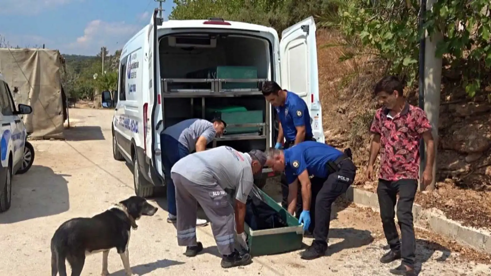 Gürültüyü devrilen kedi köpek maması zannettiler, gerçek sabah ortaya çıktı