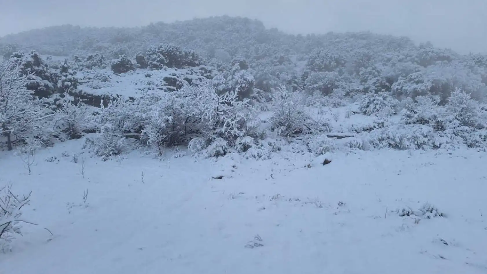 Seydikemer Yayla Zorlar'da kış güzelliği