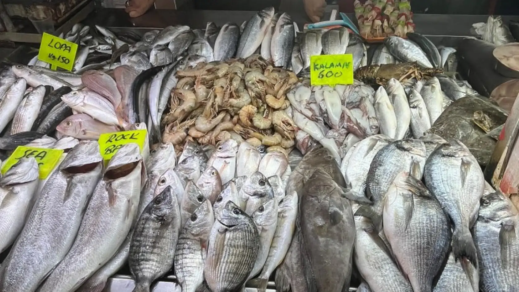 Fethiye balık pazarında en çok palamut ve hamsi rağbet görüyor