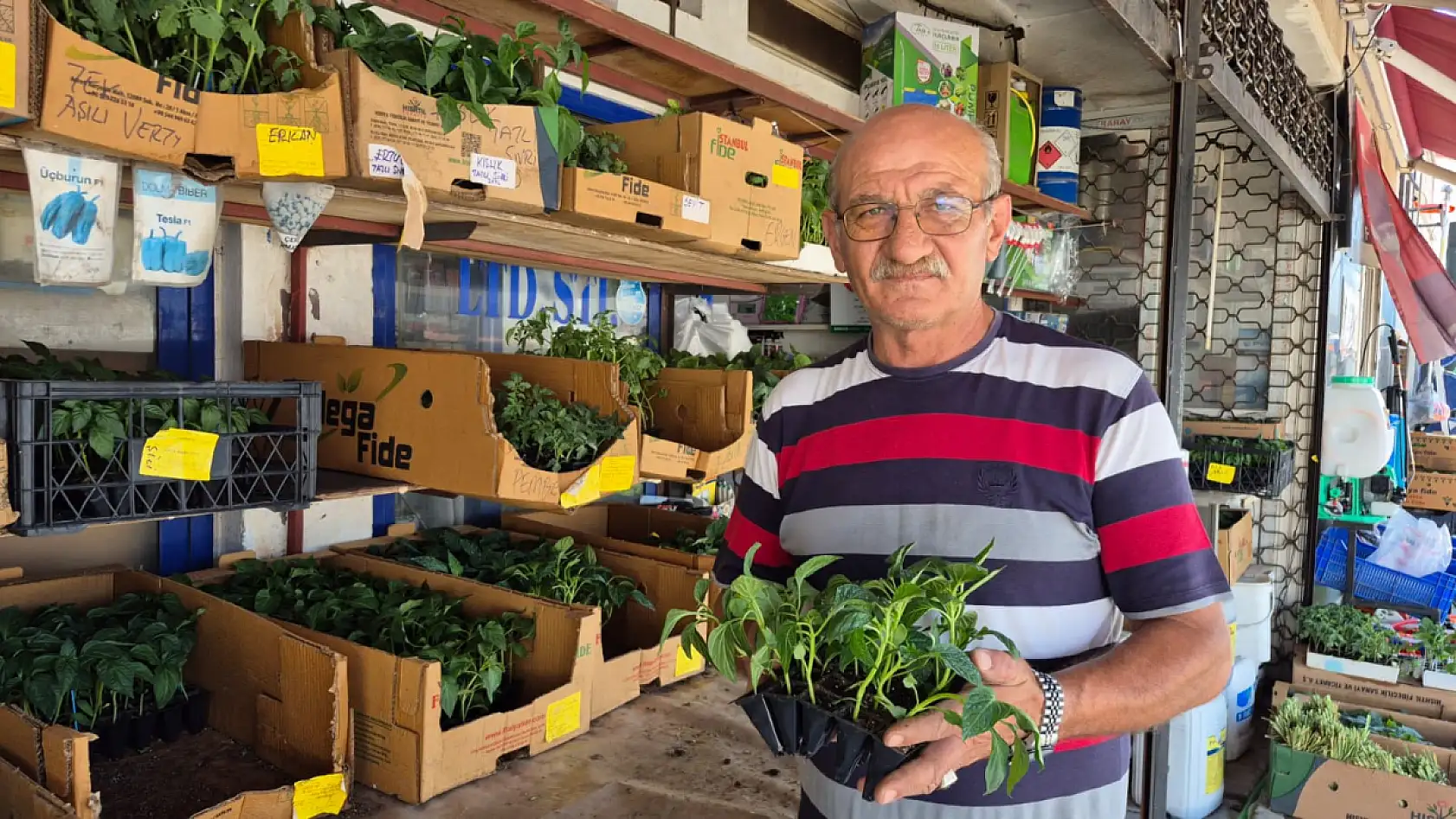 Fethiye'de hobi bahçelerinde sebze yetiştirmenin püf noktaları