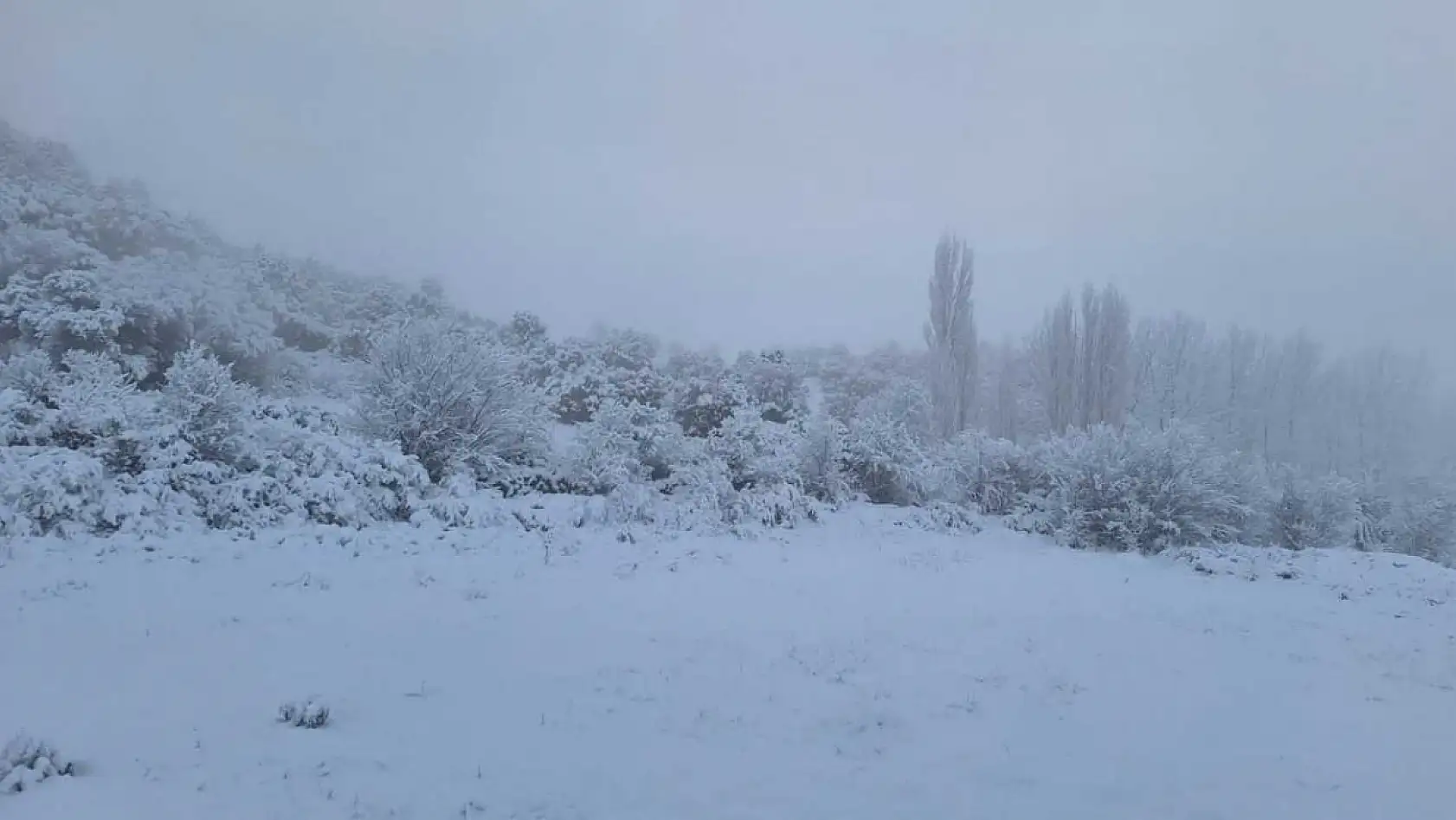 Seydikemer Yayla Zorlar'da kış güzelliği