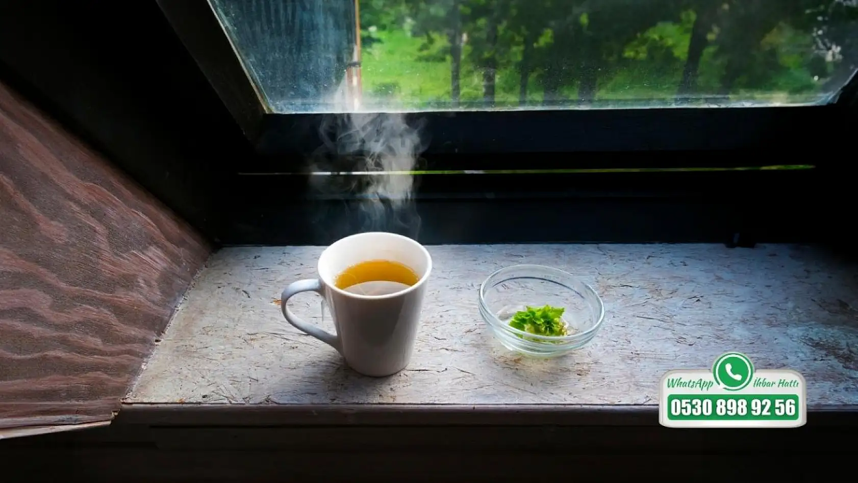 Fethiye'de Diyetisyenden Evde Yapılabilecek Bağışıklık Çayı