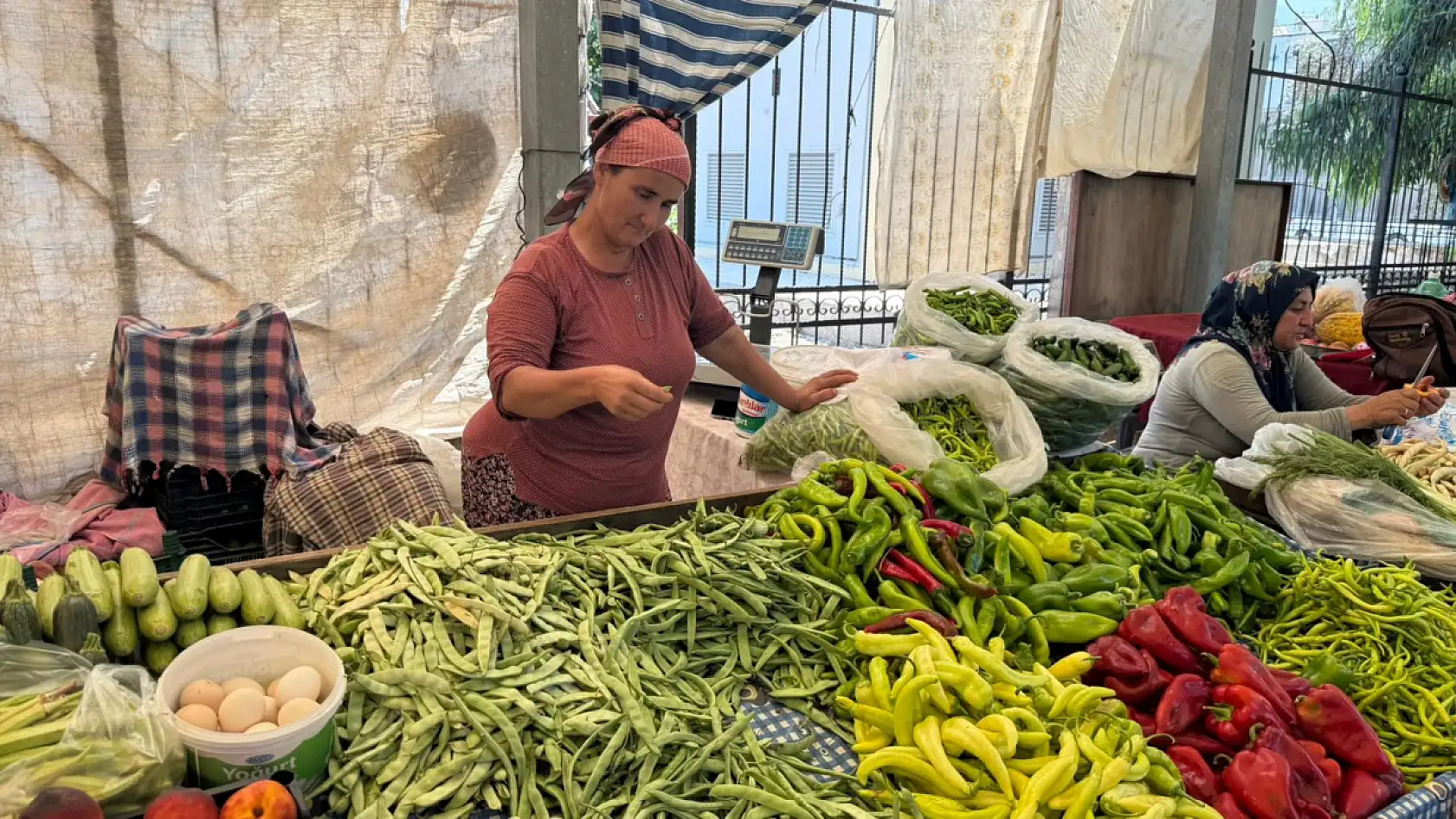 Fethiye Üreticileri Artan Maliyetler ve Düşük Kazançlarla Mücadele Ediyor