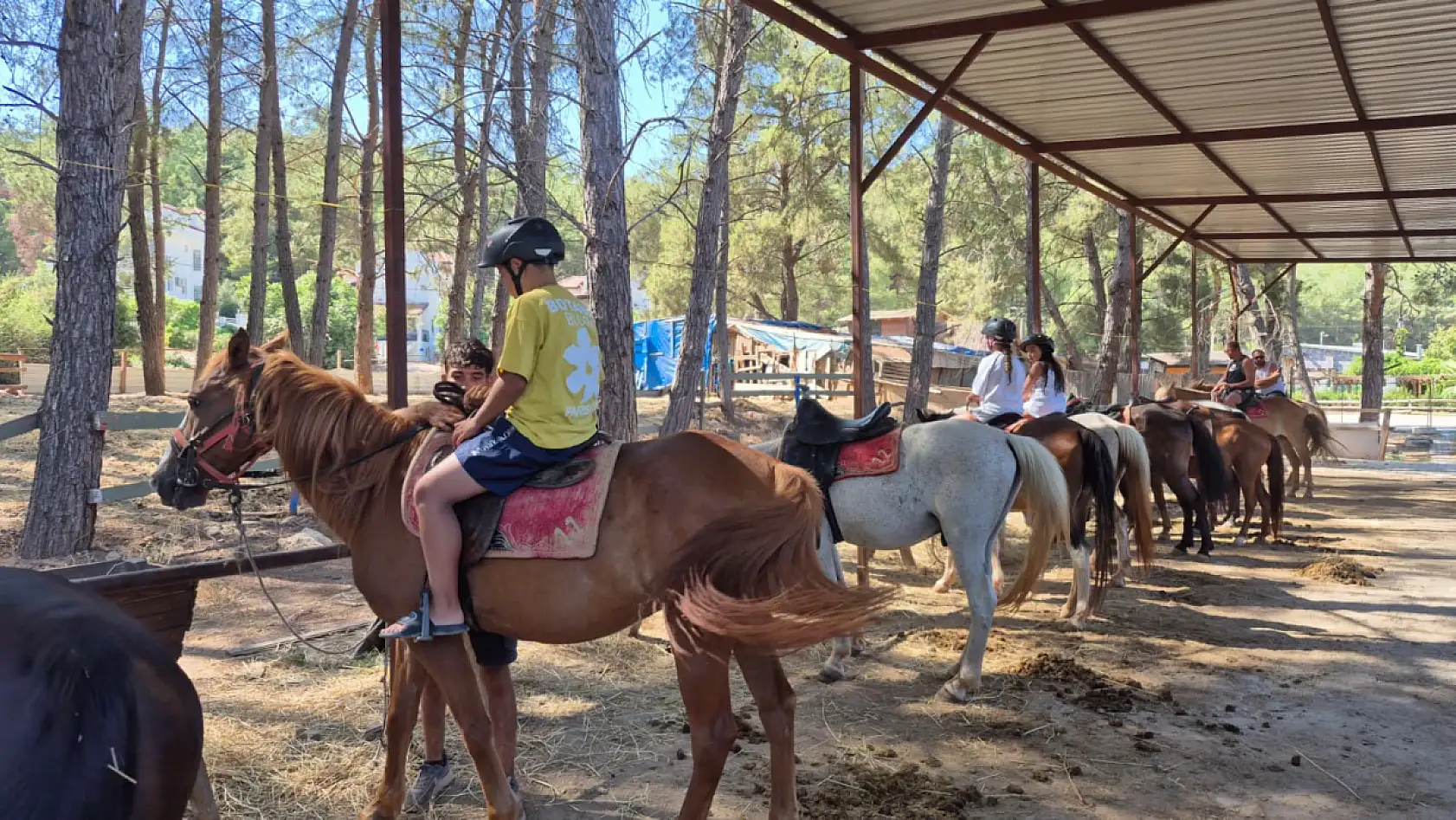 Fethiye'de atlarla doğa turu: 'Atların insan üzerinde çok büyük bir etkisi var'