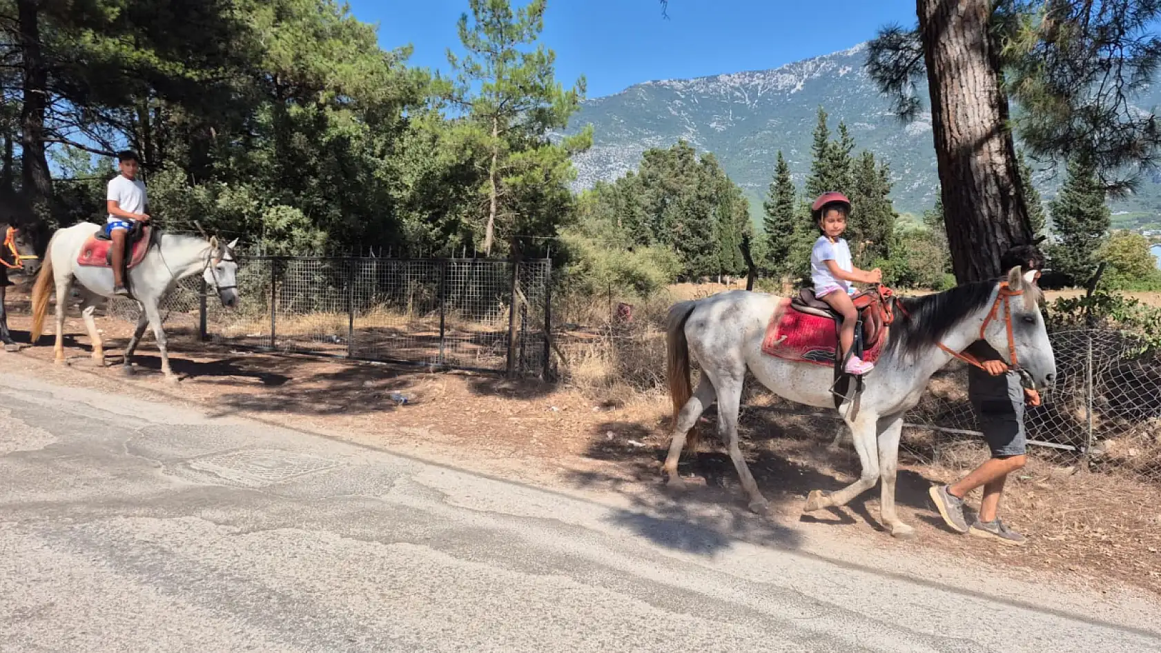 Fethiye'de atlarla doğa turu: 'Atların insan üzerinde çok büyük bir etkisi var'