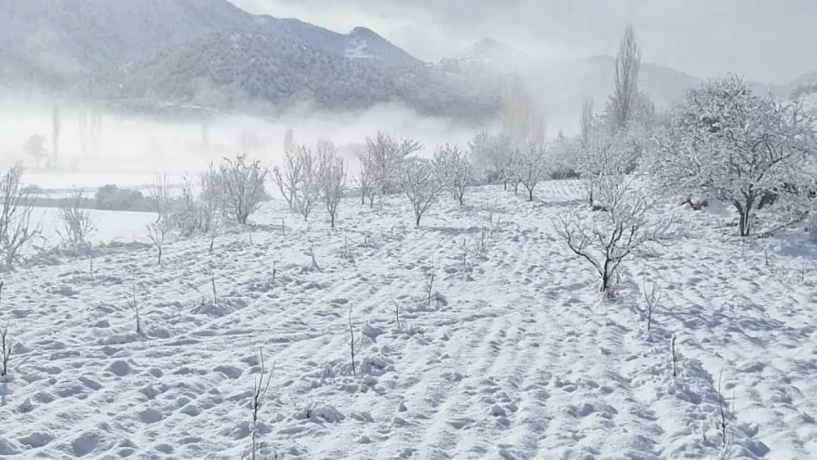 Seydikemer Yayla Zorlar'da kış güzelliği