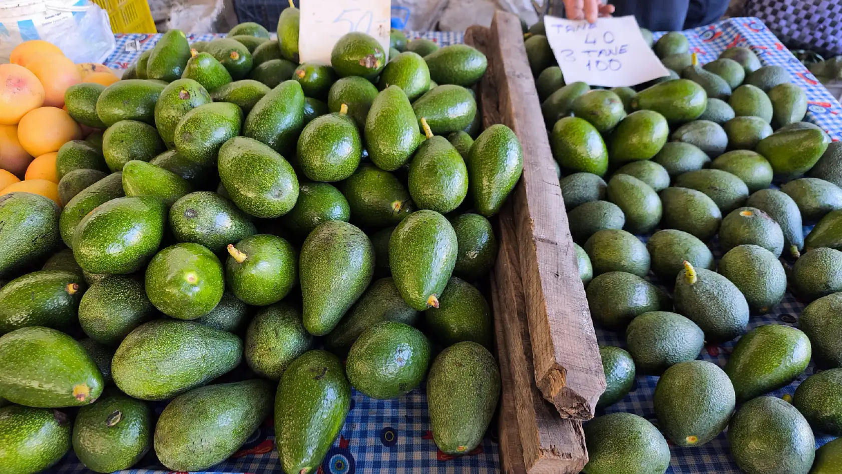 Fethiye'de Üretici Göçer, 'Ölümden Başka Her Şeye Faydalı'