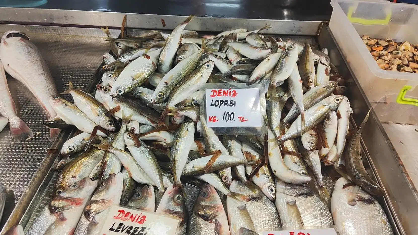 Tezgâhlarda balık bolluğu