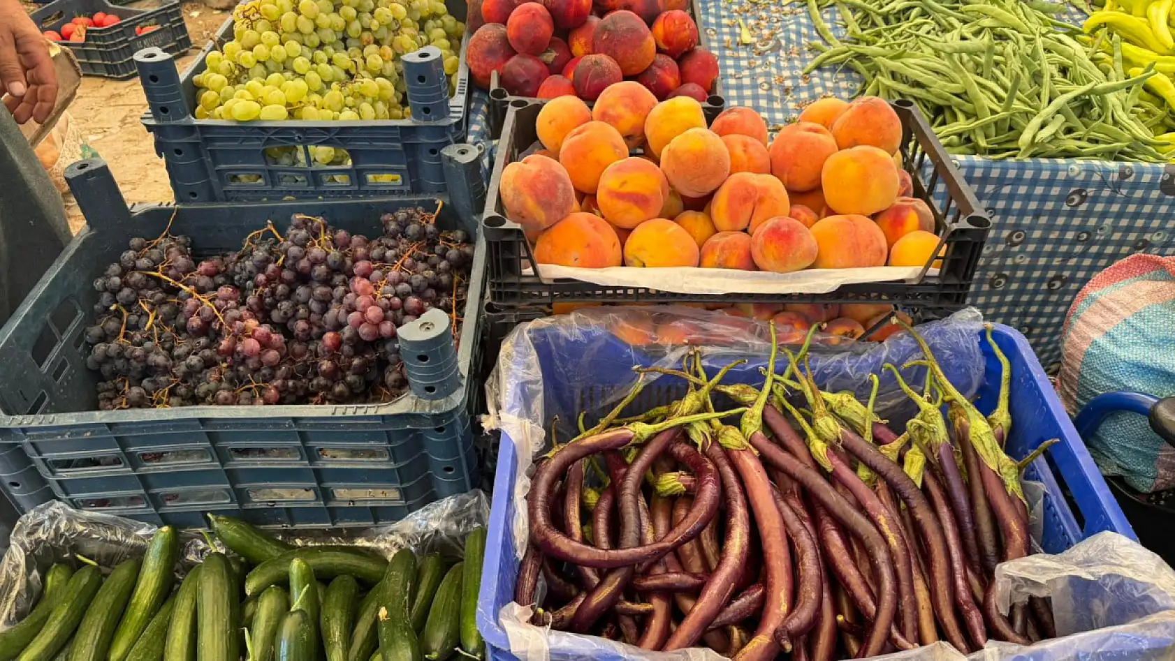 Fethiye Üreticileri Artan Maliyetler ve Düşük Kazançlarla Mücadele Ediyor