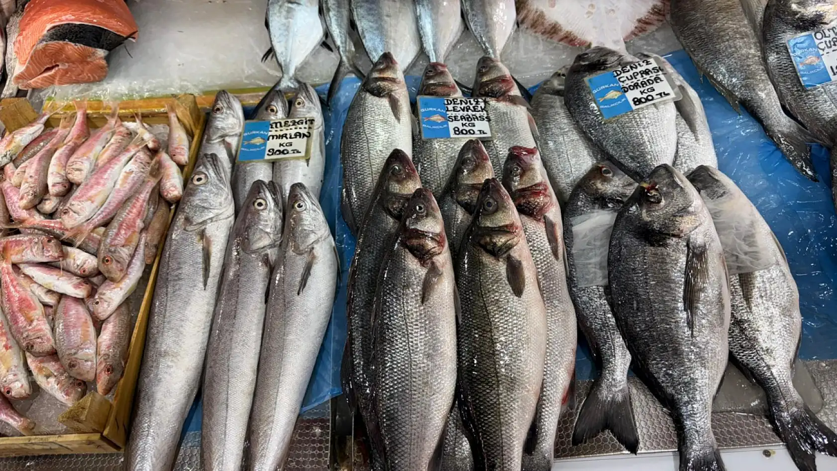 Fethiye Balık Pazarı'nda Güncel Fiyatlar