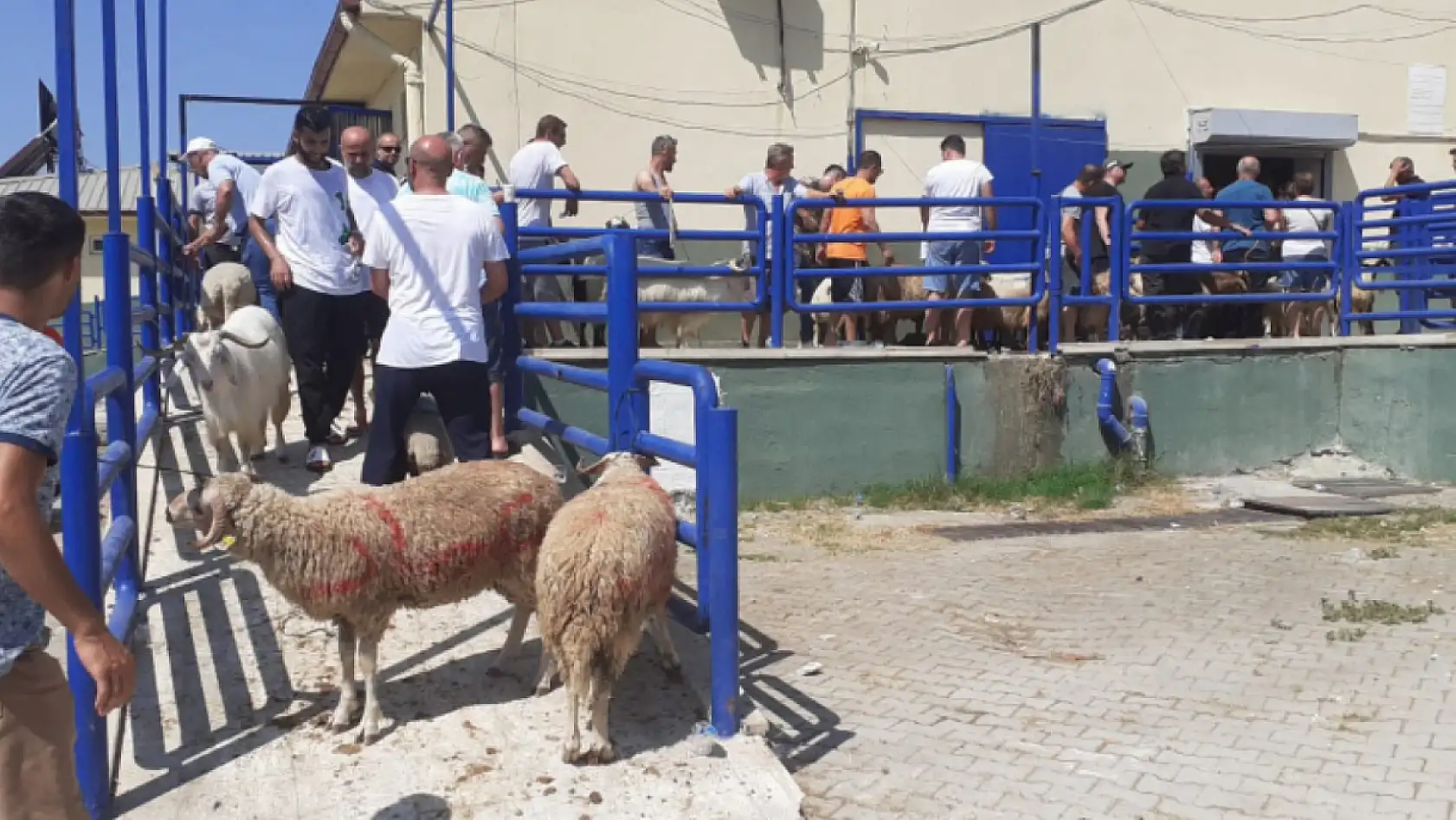 Fethiye'de Bayram Coşkusu: Yamaç Paraşütünden Konsere, Doğa Gezilerinden Sofralara Renkli Bir Kurban Bayramı