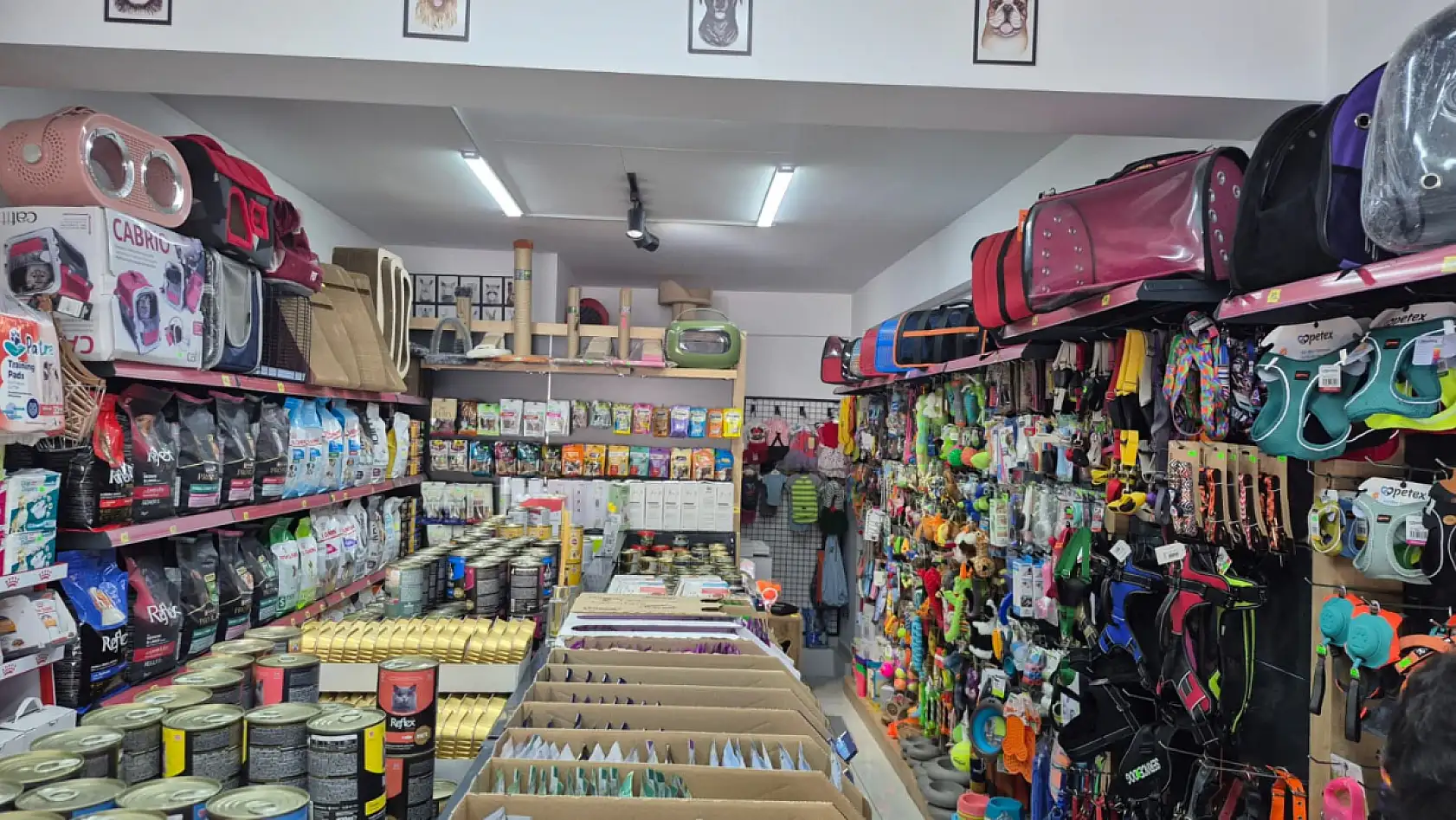 Fethiye'de uzmanından kedi ve köpekler için supplement ürün uyarısı