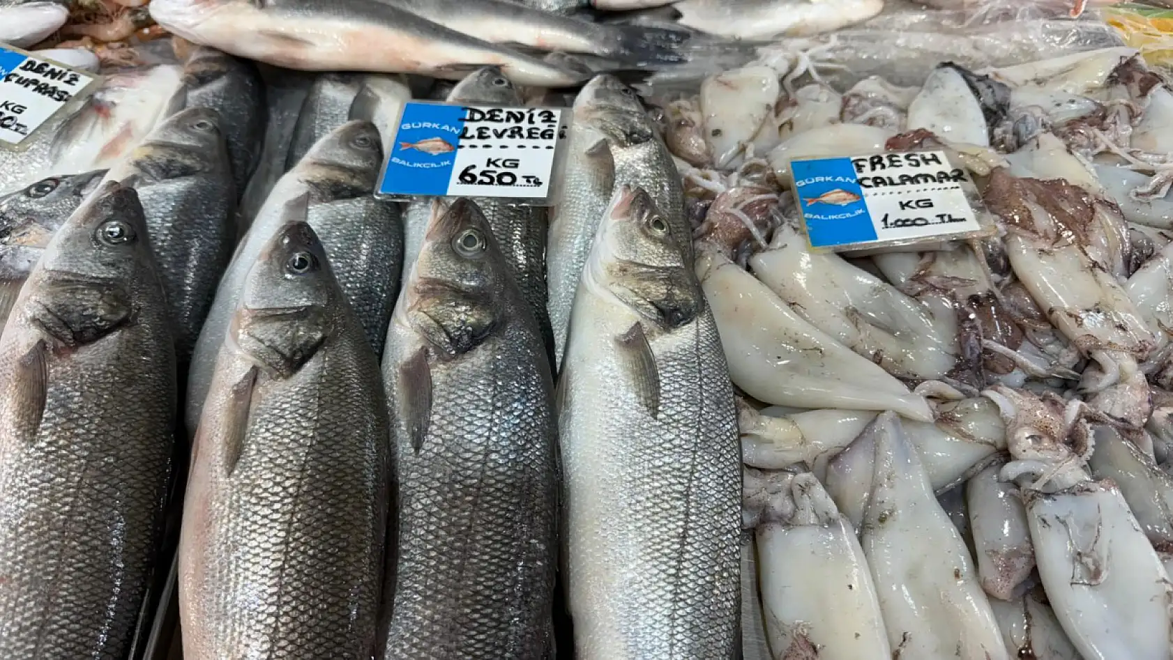 Fethiye Balık Pazarı'nda Güncel Fiyatlar! Levrek, Çupra, Sardalya