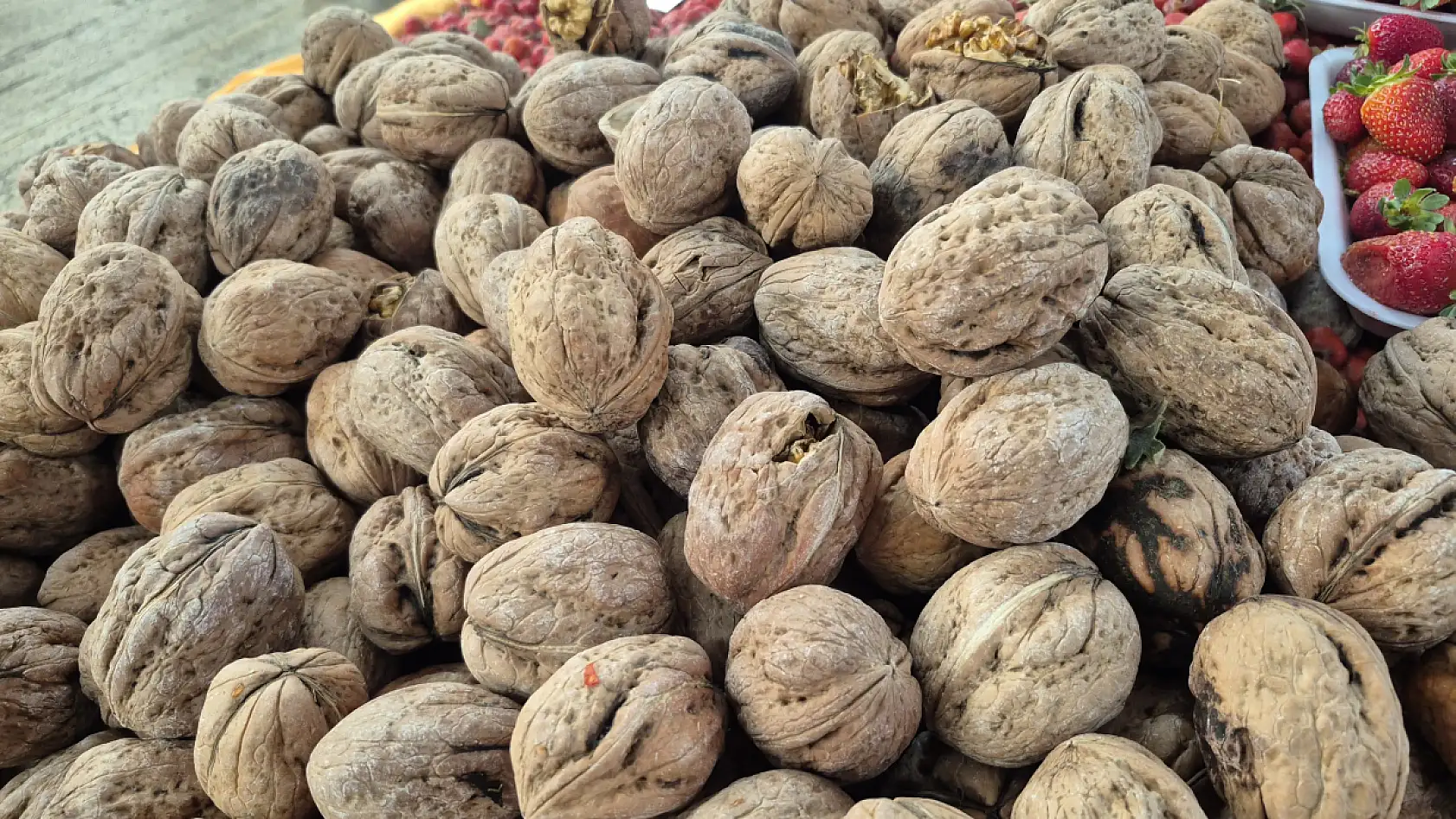 Fethiye'de bu ceviz normal cevizin 3 katı büyüklüğünde