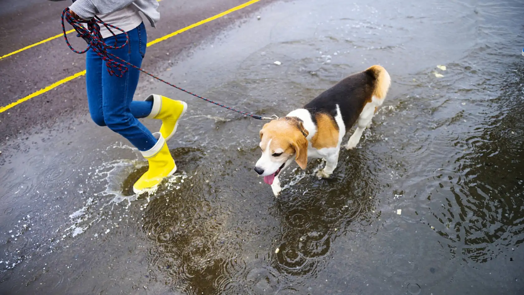 Yağmurlu Bir Günde Fethiye'de Neler Yapılabilir?