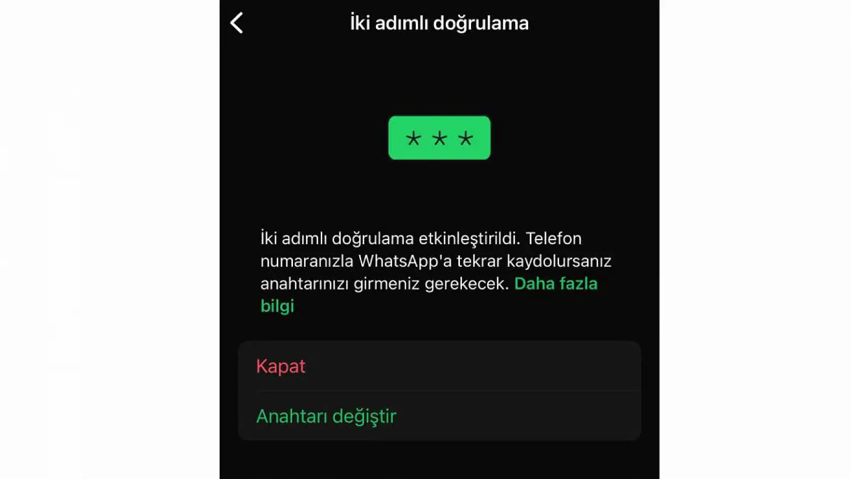 Fethiye'de WhatsApp Dolandırıcılığı! 'Acil Para Lazım' Mesajına Sakın Kanmayın Dolandırıcılar '5 Bin Lira Lazım' Oyunu Başlattı