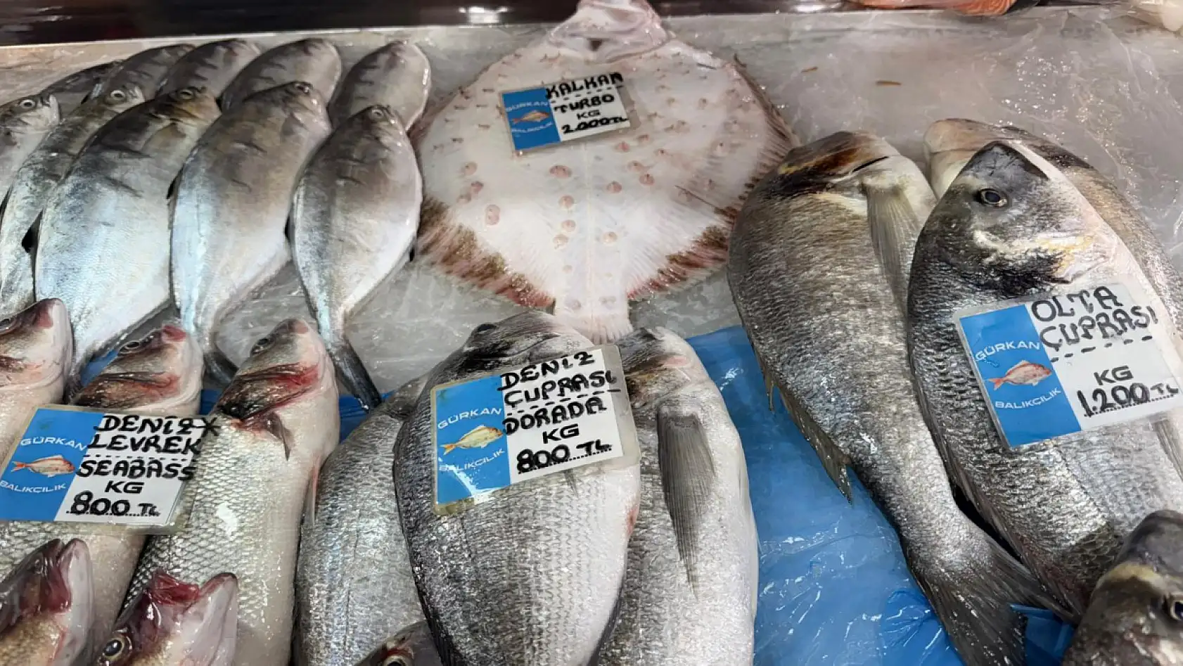 Fethiye Balık Pazarı'nda Güncel Fiyatlar
