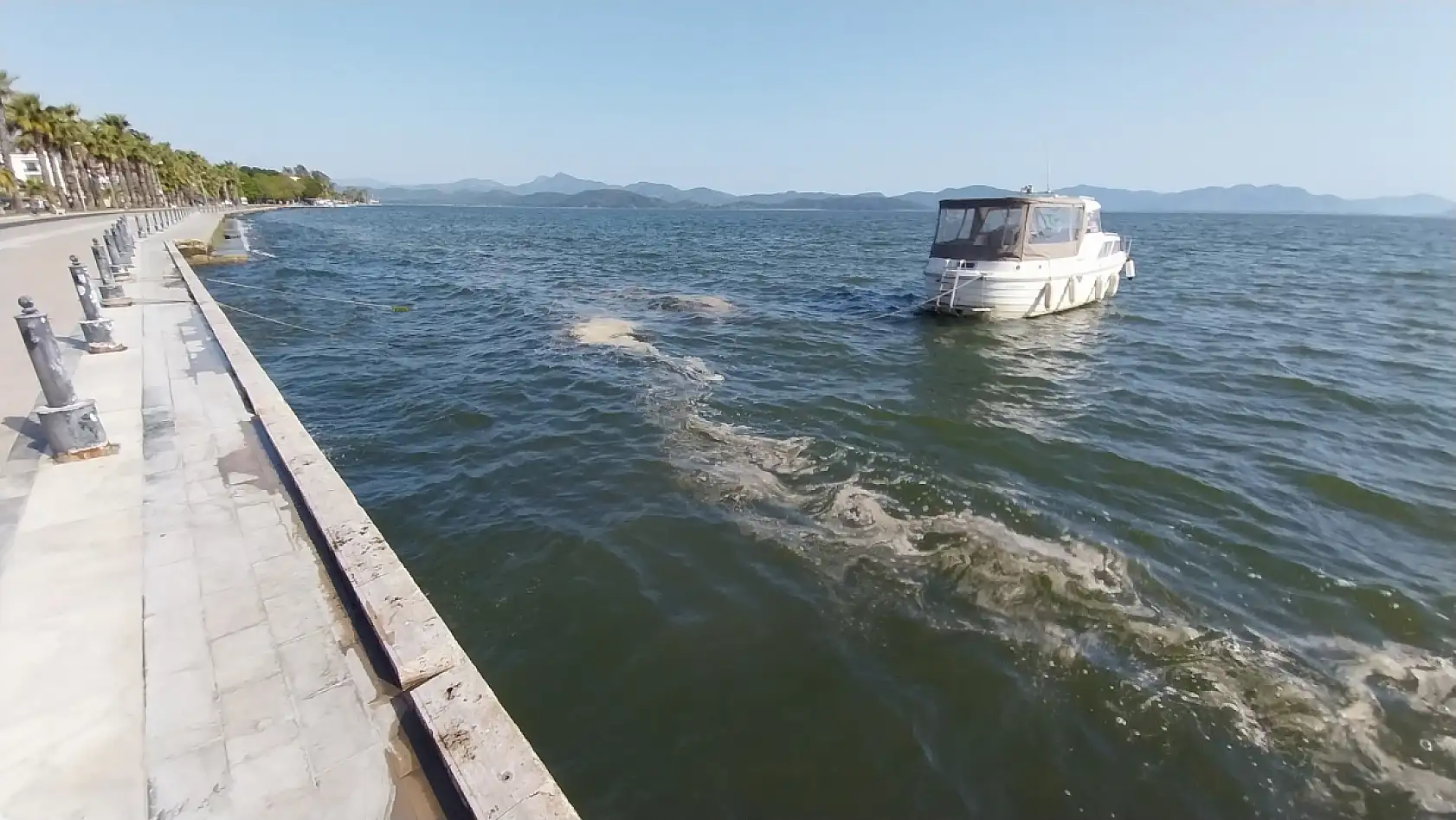 Köyceğiz Gölü'nün kıyısında polen yoğunluğu oluştu