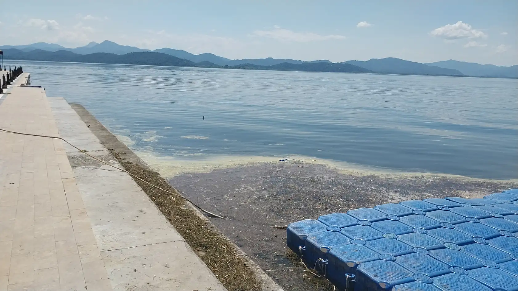 Köyceğiz Gölü'nün kıyısında polen yoğunluğu oluştu