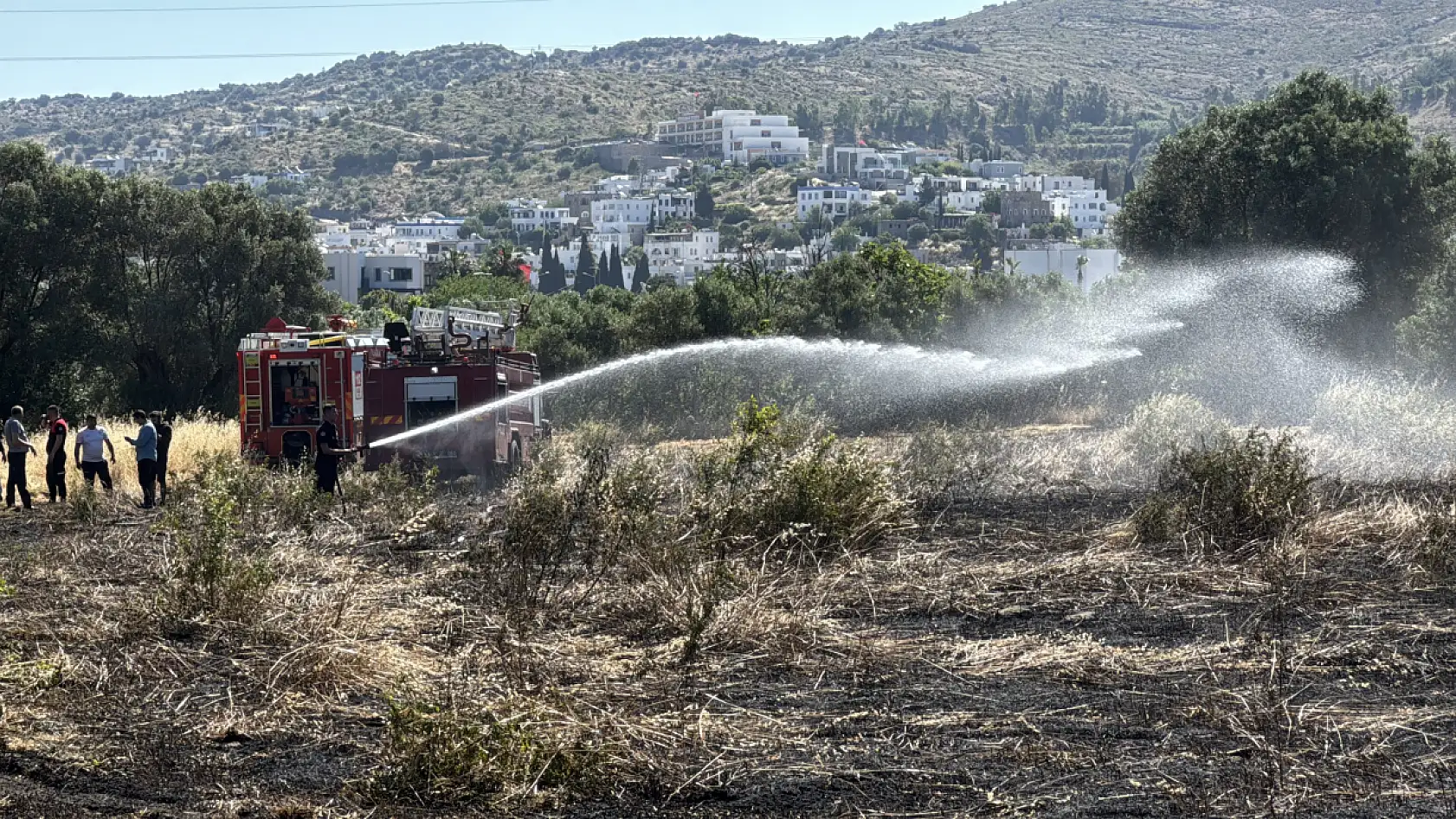Bodrum'da tarım arazisi ve otluk alanda çıkan yangın söndürüldü