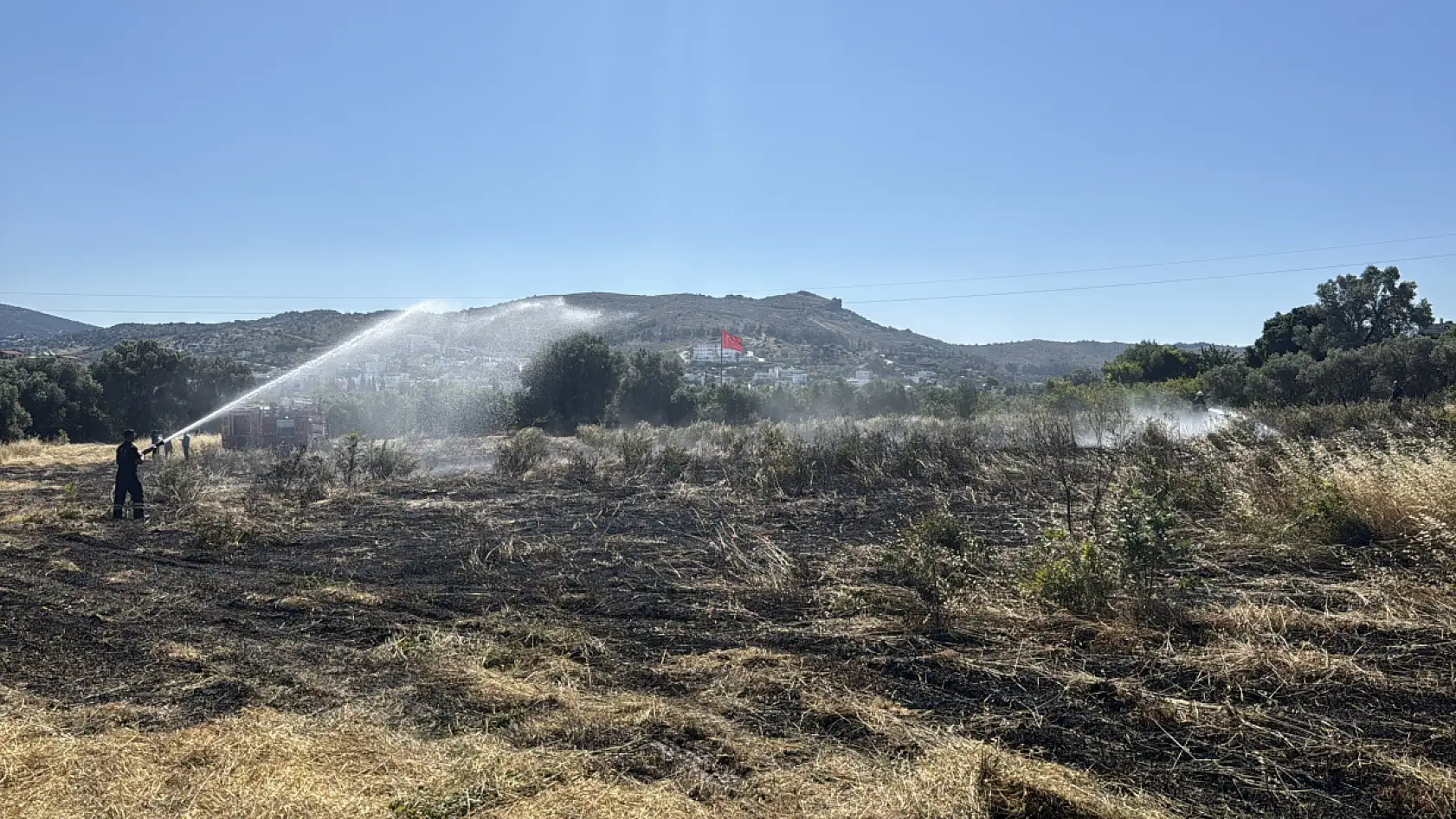 Bodrum'da tarım arazisi ve otluk alanda çıkan yangın söndürüldü