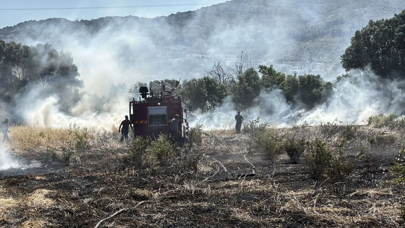 Bodrum'da tarım arazisi ve otluk alanda çıkan yangın söndürüldü