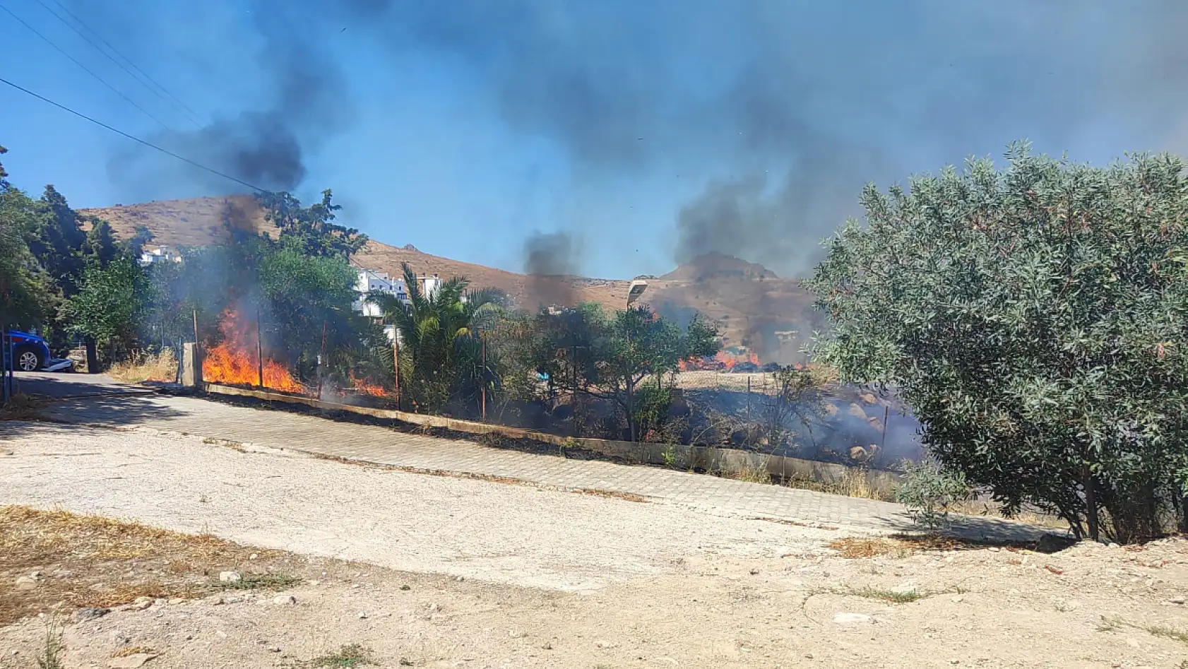 Bodrum'da makilik ve otluk alanda çıkan yangın söndürüldü