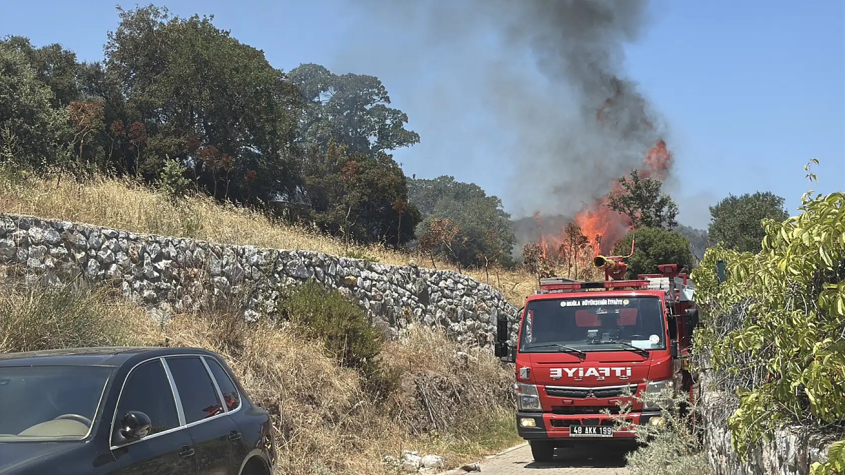 Bodrum'da tarım arazisi ve otluk alanda çıkan yangın söndürüldü