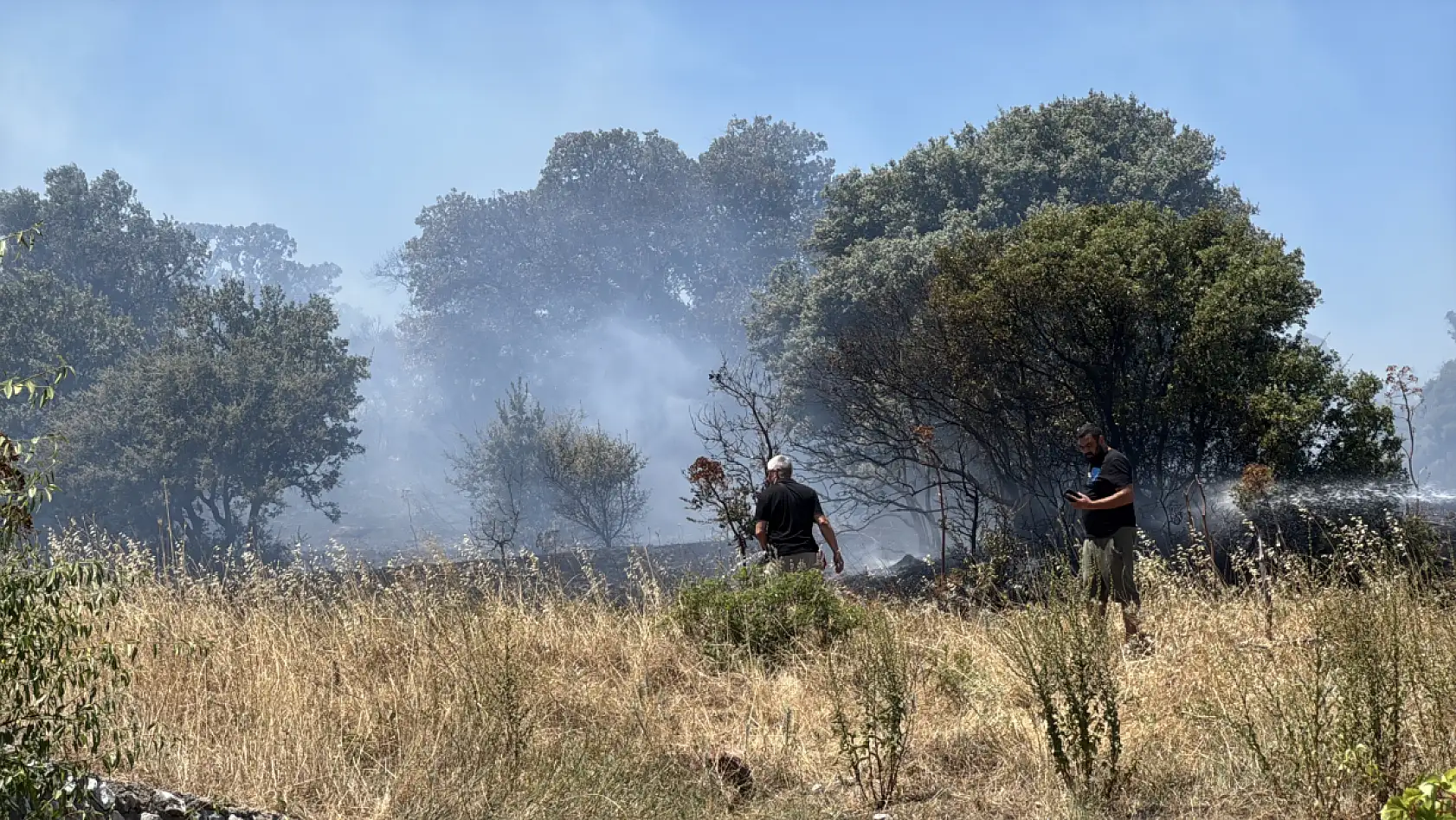 Bodrum'da tarım arazisi ve otluk alanda çıkan yangın söndürüldü