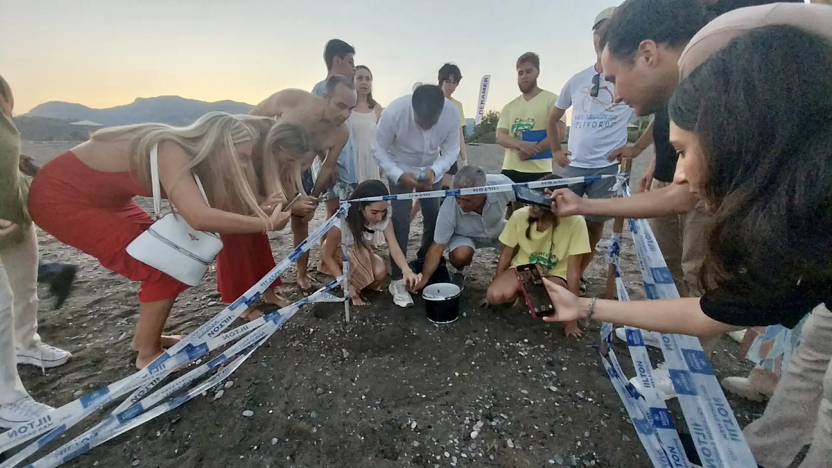 Muğla'da otel görevlilerinin kumsalda bulduğu caretta caretta yavruları denize ulaştırıldı