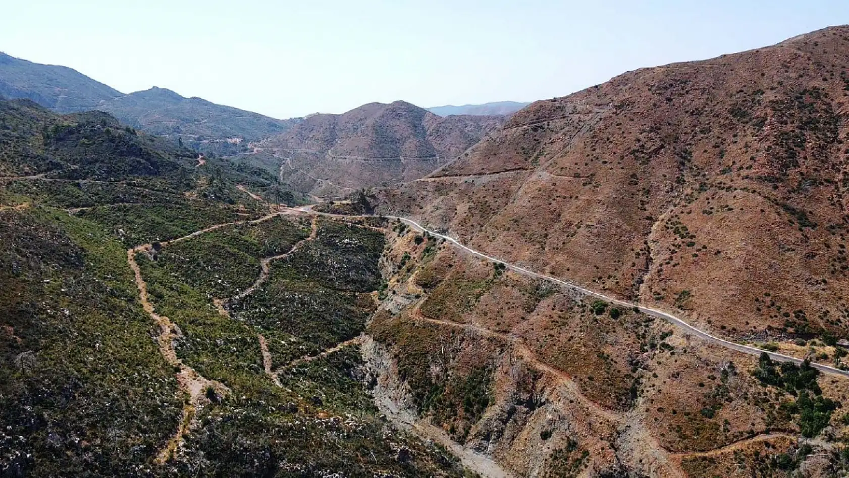 Marmaris'te yanan ormanlık alanlar yeniden yeşeriyor