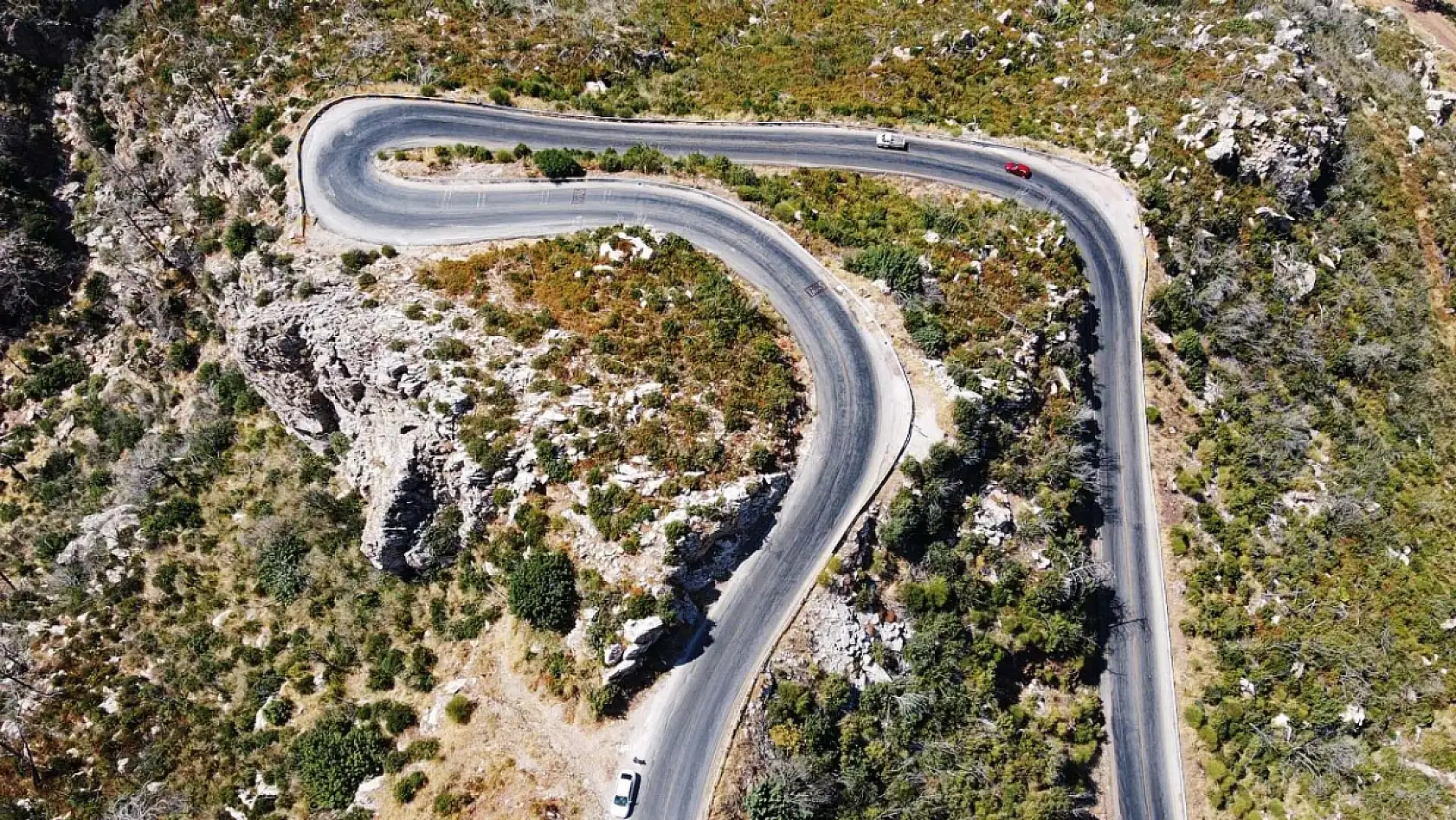 Marmaris'te yanan ormanlık alanlar yeniden yeşeriyor