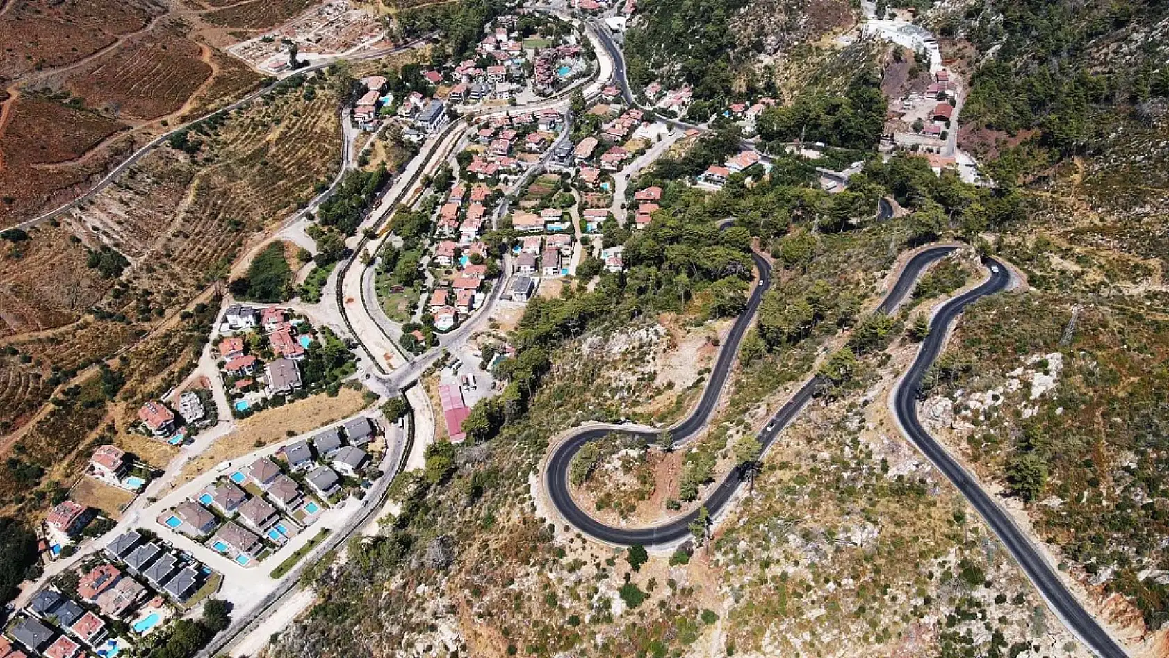 Marmaris'te yanan ormanlık alanlar yeniden yeşeriyor