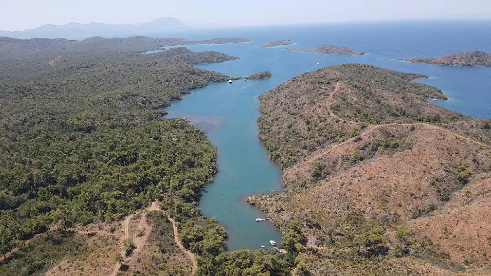 Marmaris'te yanan ormanlık alanlar yeniden yeşeriyor