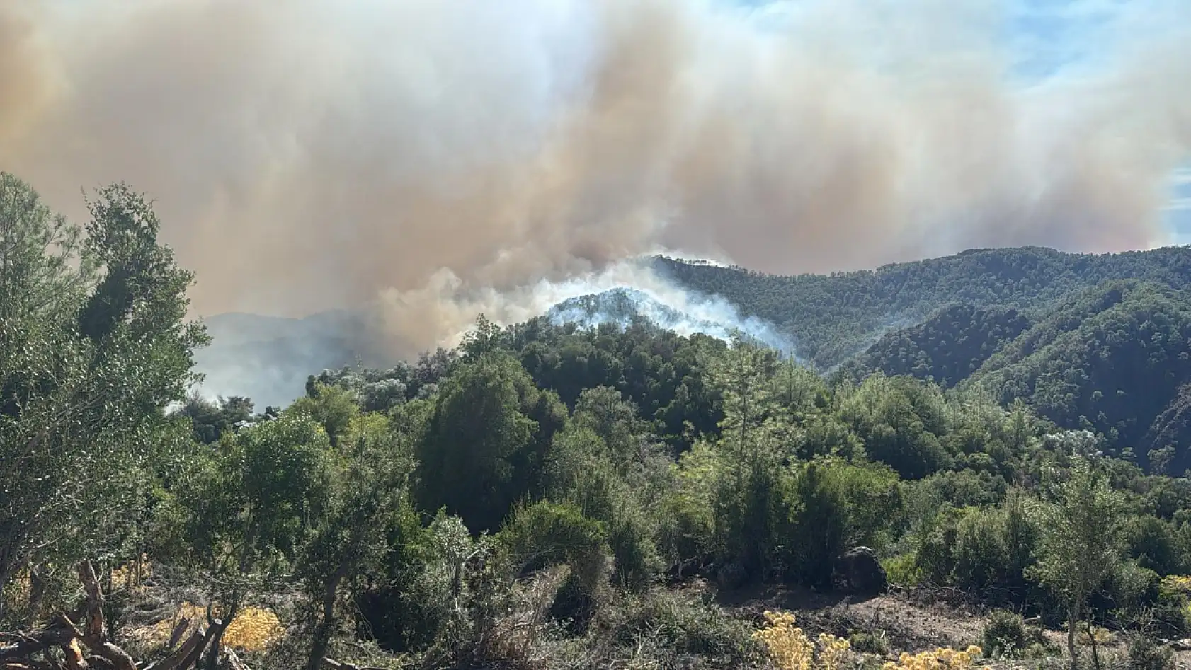 Orman Genel Müdürü Karacabey'den orman yangınlarına ilişkin açıklama