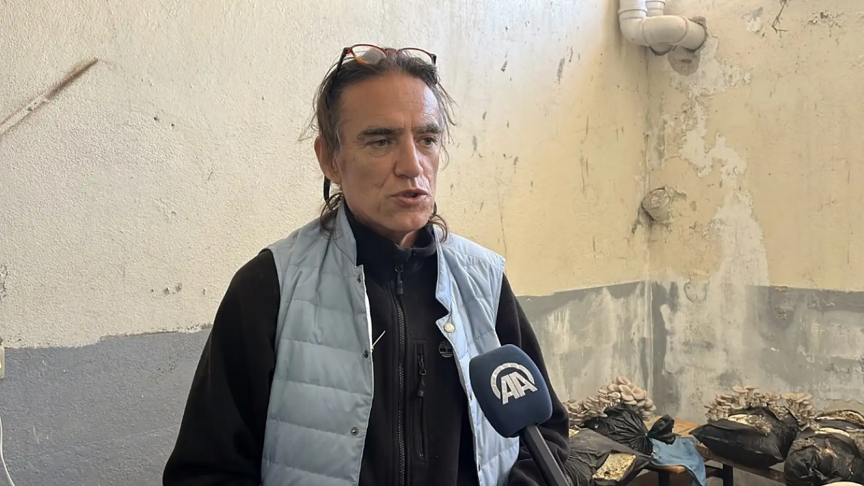 Muğla'da öğrenciler okulda istiridye mantarı üretiyor