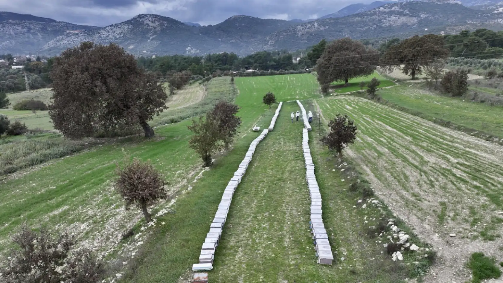 Seydikemerli genç baba mesleği arıcılığı sürdürmek için çalışıyor