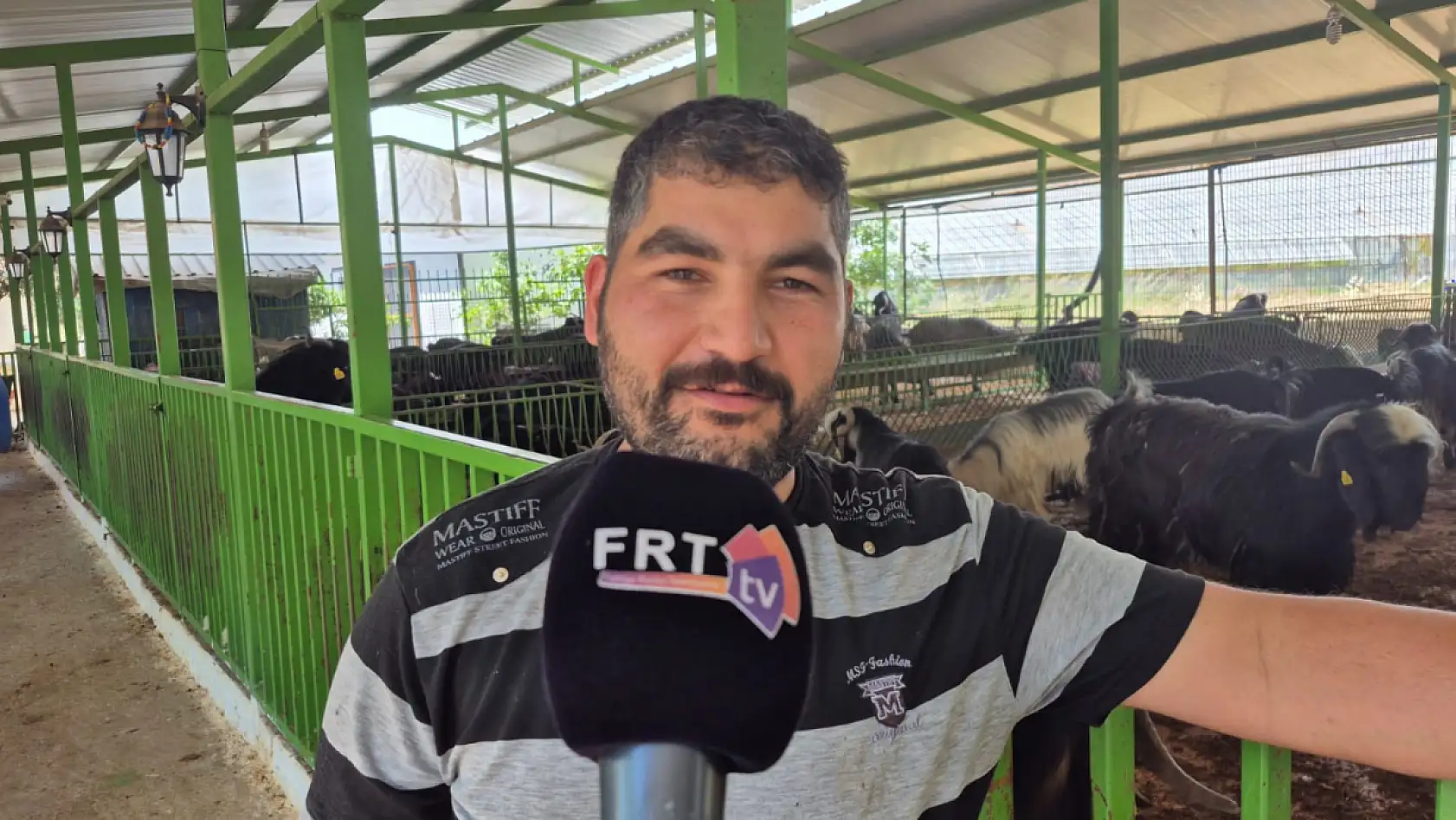 Fethiye'de kurbanlık satışları hız kazandı