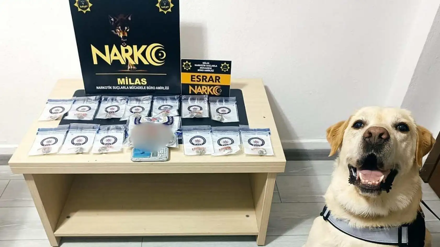 Muğla'da uyuşturucuya geçit yok: 17 operasyonda 5 tutuklama