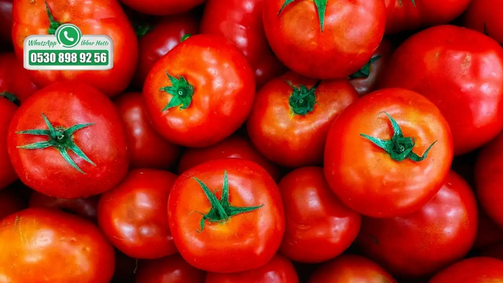 Domates Azaldı, Fiyatı Uçtu! İşte Temmuz Ayının Şaşırtan Rakamları