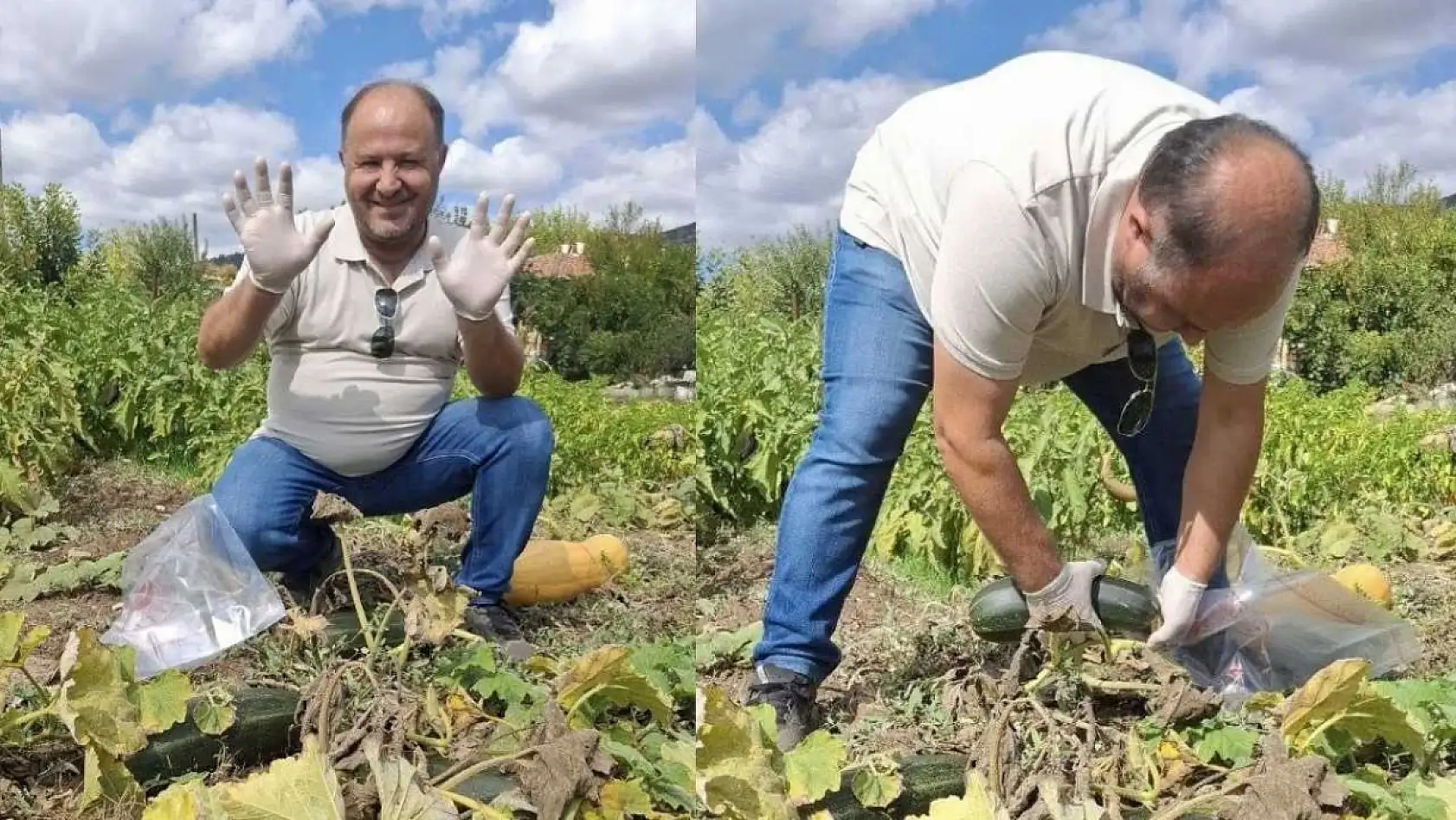 Menteşe'de zararlı kontrolleri yoğunlaştı