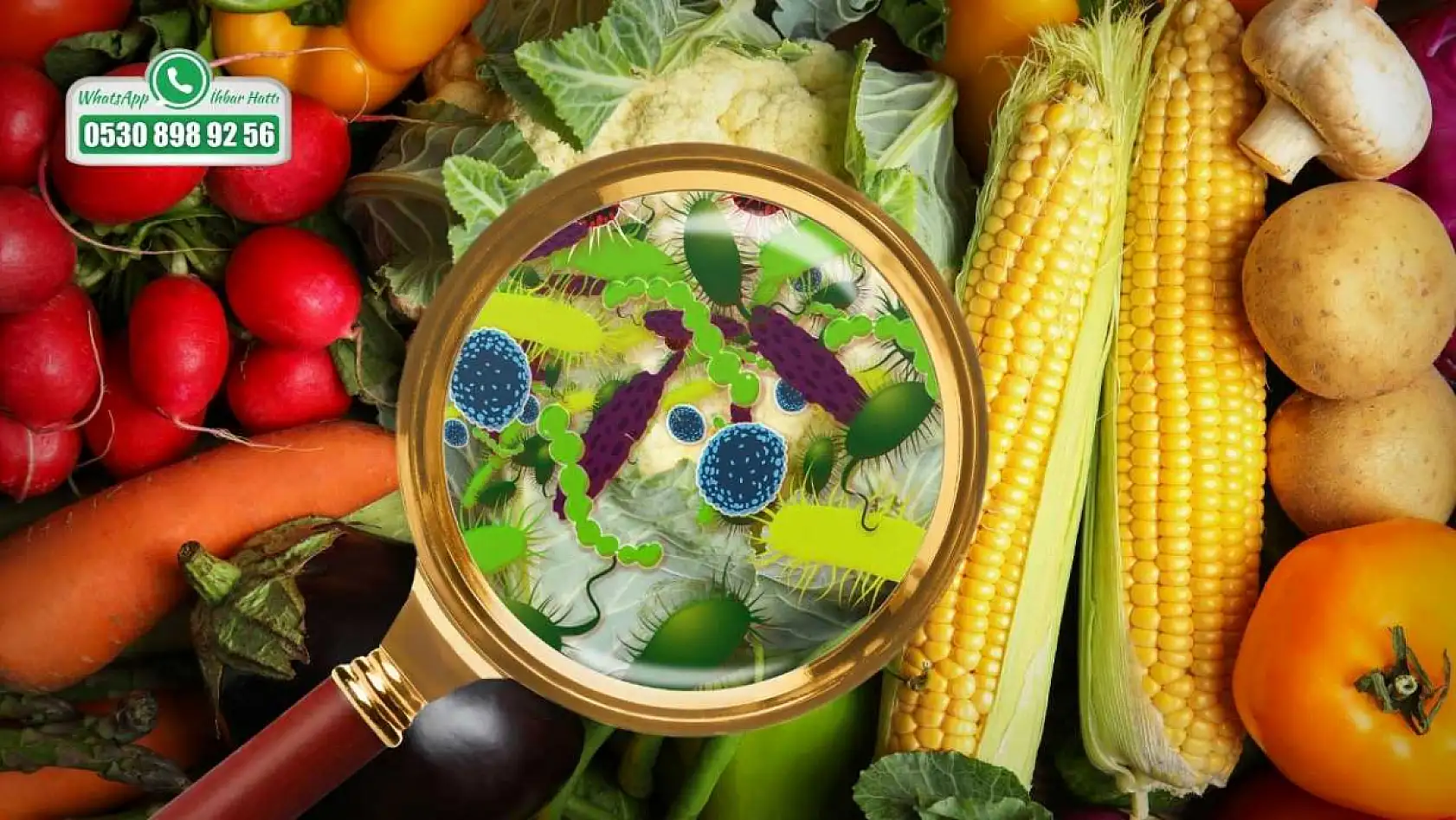 Şef Mavi Fethiye Aşçılar Derneği Başkanı Arslan, 'Eğitimli personel ve sıkı denetim şart'