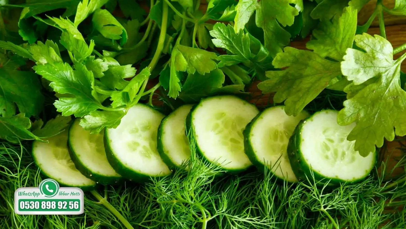 Fethiye'de Diyetisyen Elifsu Işık'tan kış aylarında bağışıklık uyarısı