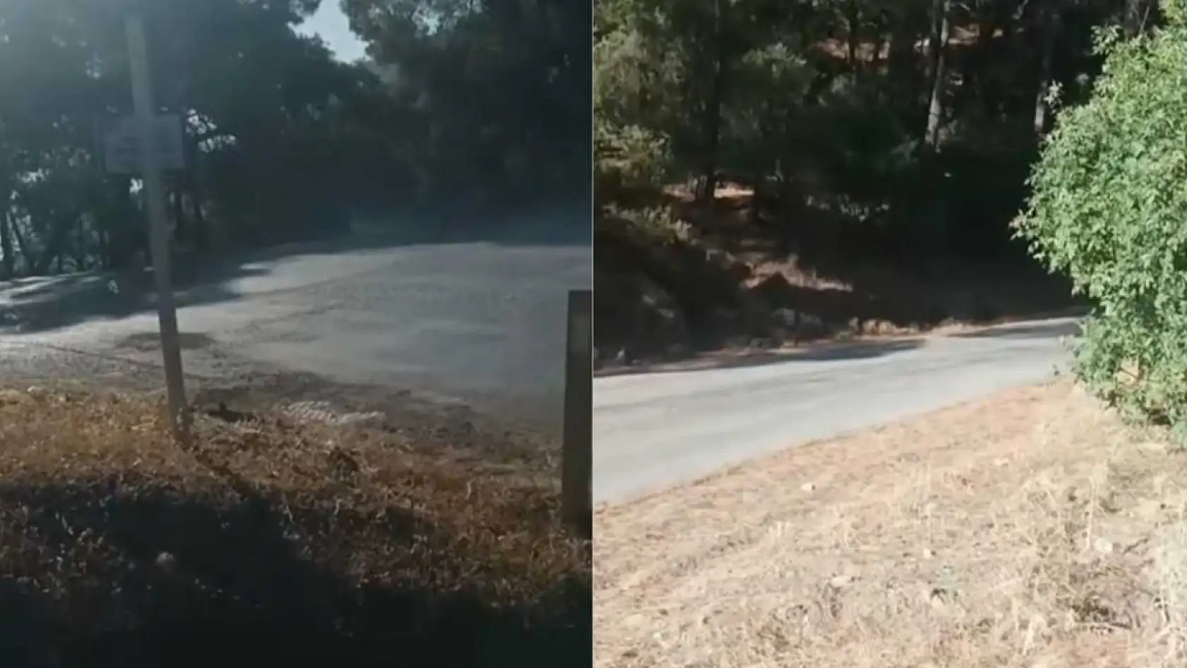 Fethiye'de yangınlara karşı mücadele: Hilmi Kıvrak'tan örnek davranış