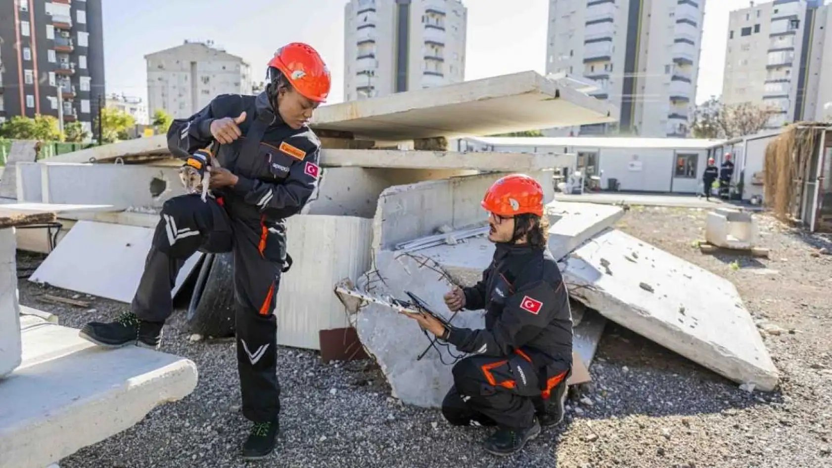 Arama kurtarmada yeni dönem: Enkaz altında kalanları kahraman fareler kurtaracak